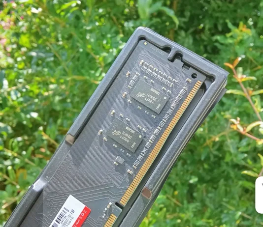 ram