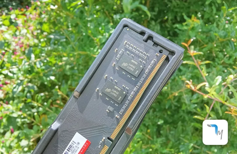 ram