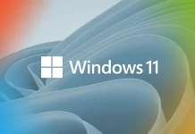 Windows 11