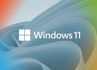 Windows 11