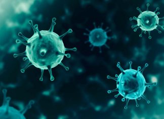 Πηγή εικόνας: Institute for Molecular Bioscience - University of Qeensland