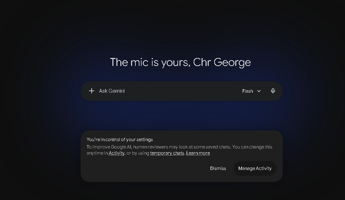 gemini ui