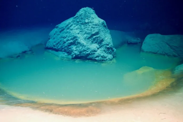 Κάμερες σε ένα τηλεχειριζόμενο όχημα (ROV) Mariner XL Argus απεικόνισαν αυτή τη θανατηφόρα λίμνη άλμης βαθέων υδάτων στη βόρεια Ερυθρά Θάλασσα, πριν λάβουν δείγματα από τα ιζήματά της για ίχνη ζωής